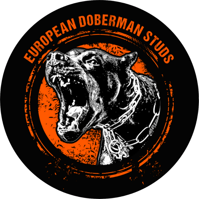 Doberman
